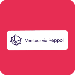 Accstyle Peppol E Invoicing Nl